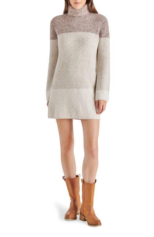 Steve Madden Meghan Colorblock Long Sleeve Turtleneck Sweater Dress Product Image