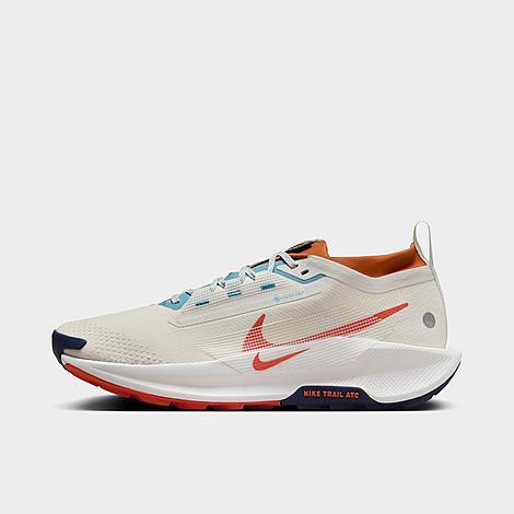 Nike Mens Nike Reactx Pegasus Trail 5 GTX - Mens Running Shoes Phantom/Vintage Coral/Dark Russet Product Image