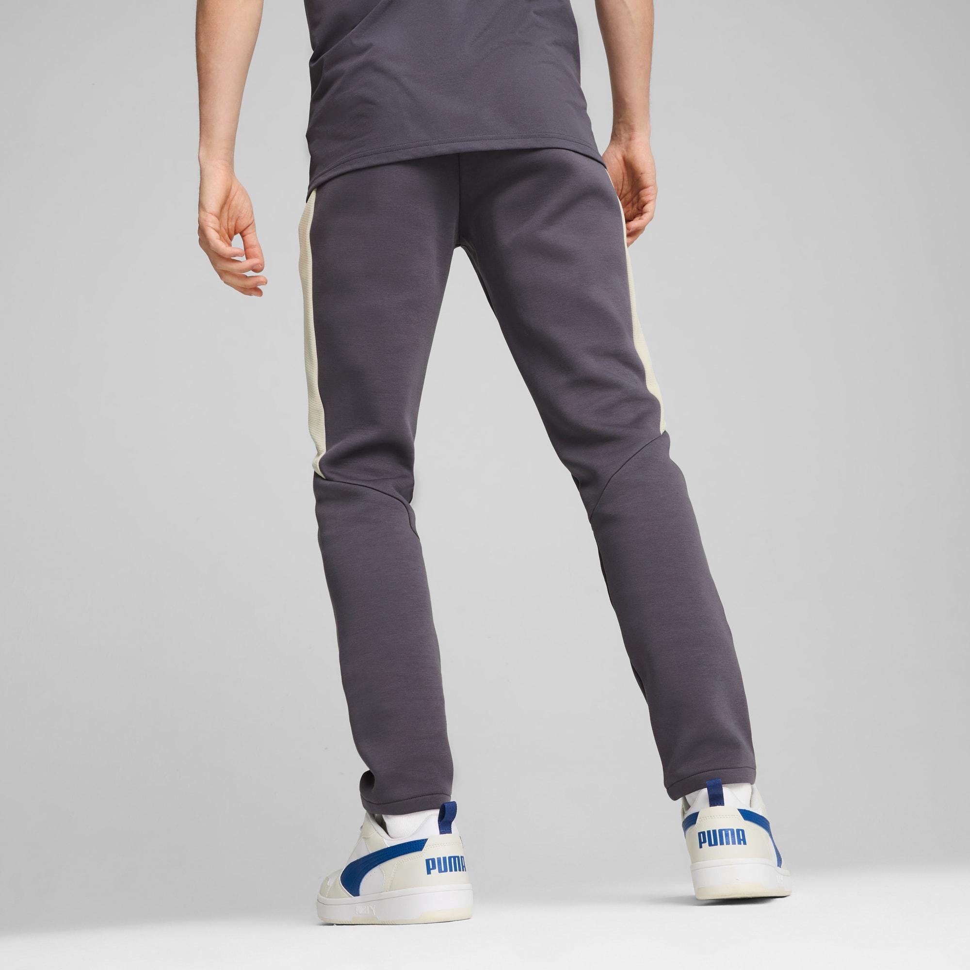 EVOSTRIPE Men's Pants Product Image