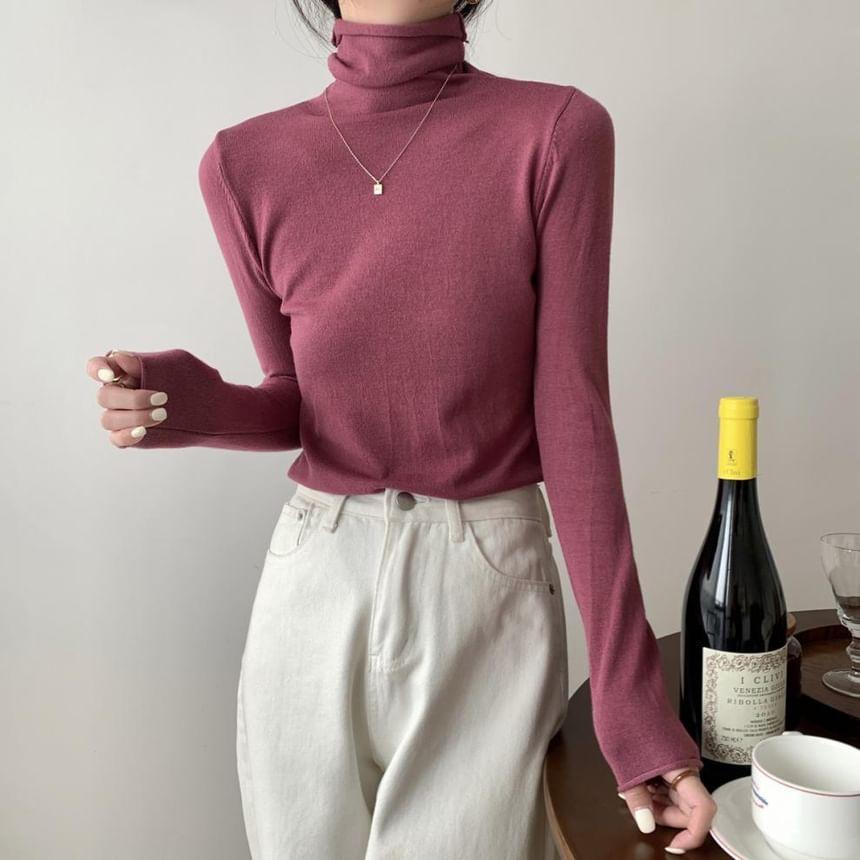 Long-Sleeve Turtleneck Plain Knit Top Product Image