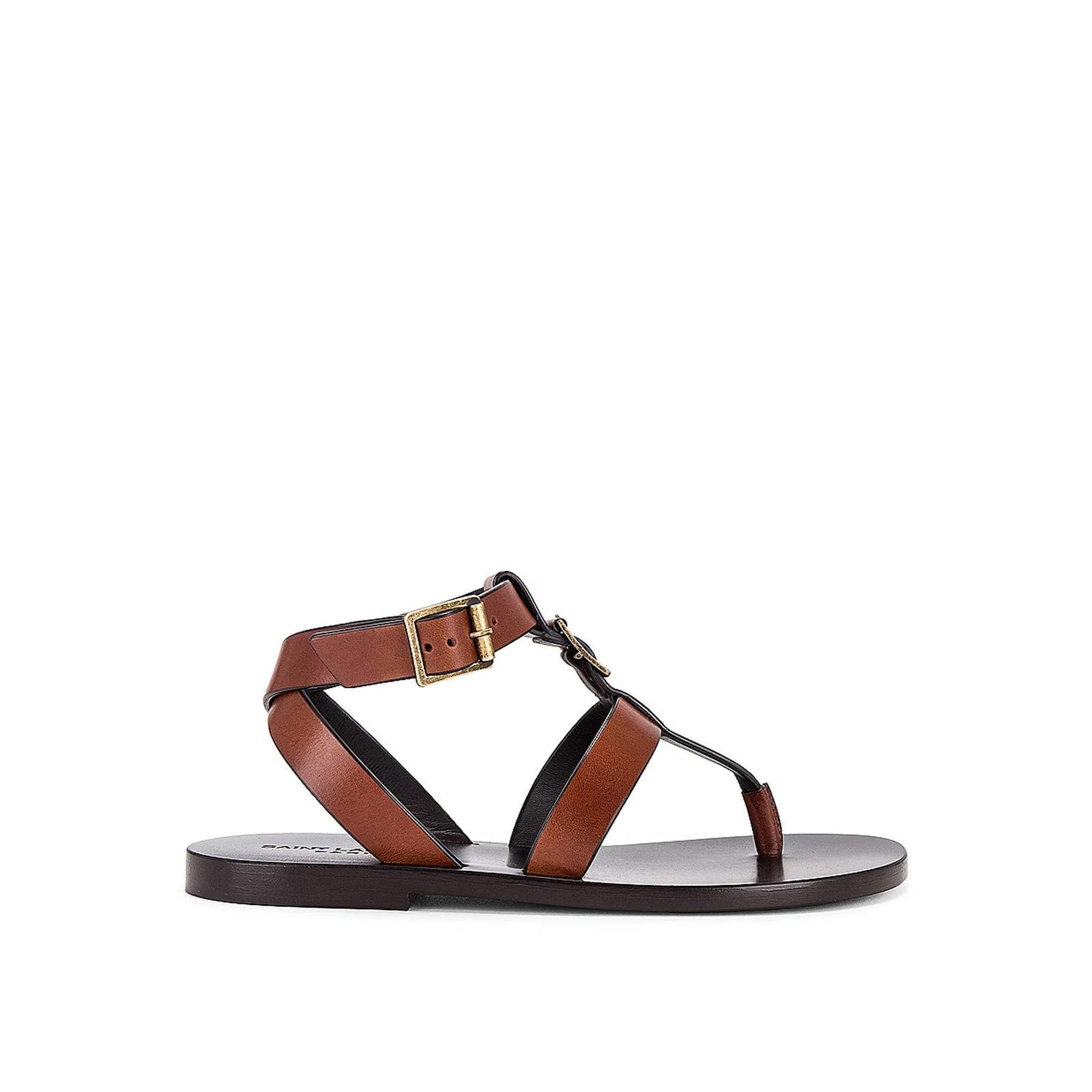 SAINT LAURENT Hardy Flat Sandal In Brown Product Image