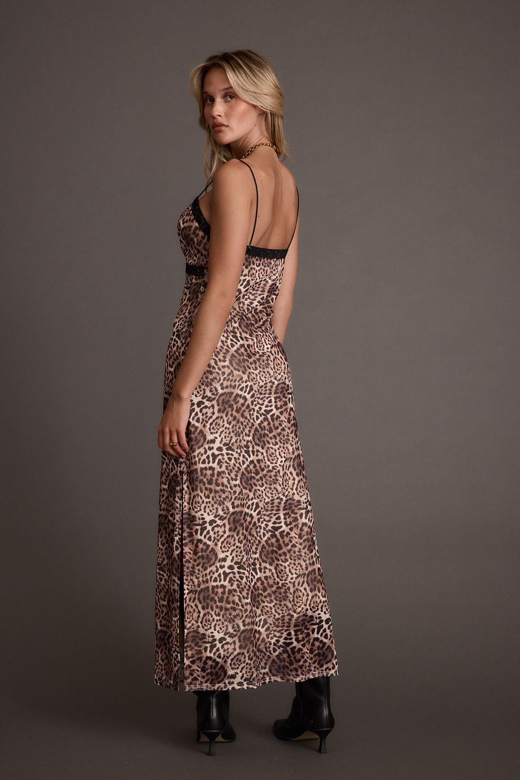 Kravitz Leopard Print Maxi Dress Product Image