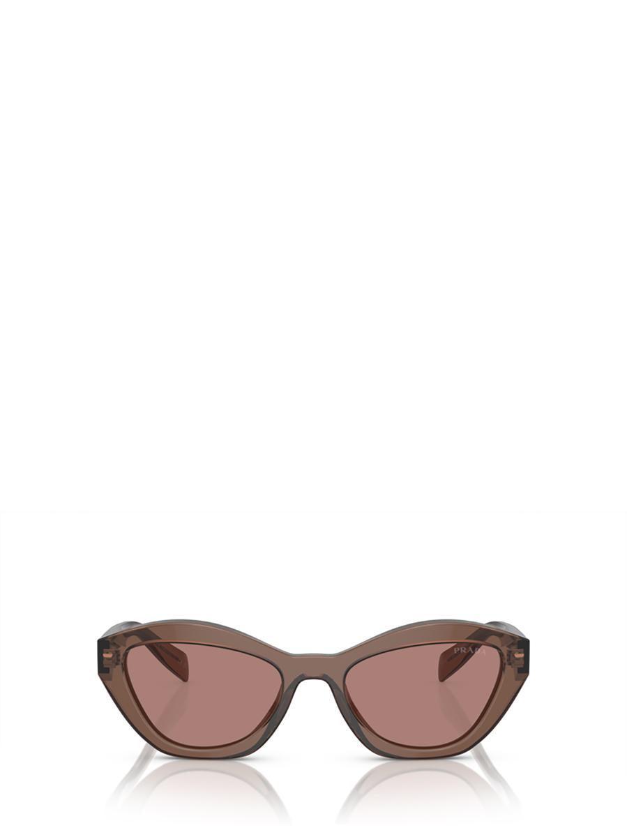 Sunglasses In Brown Product Image