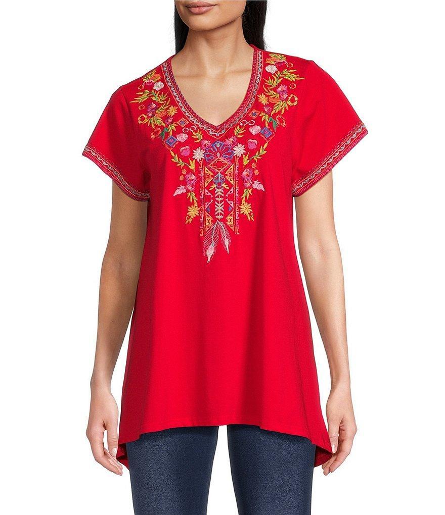 Calessa Embroidered V-Neck Short Sleeve Top Product Image