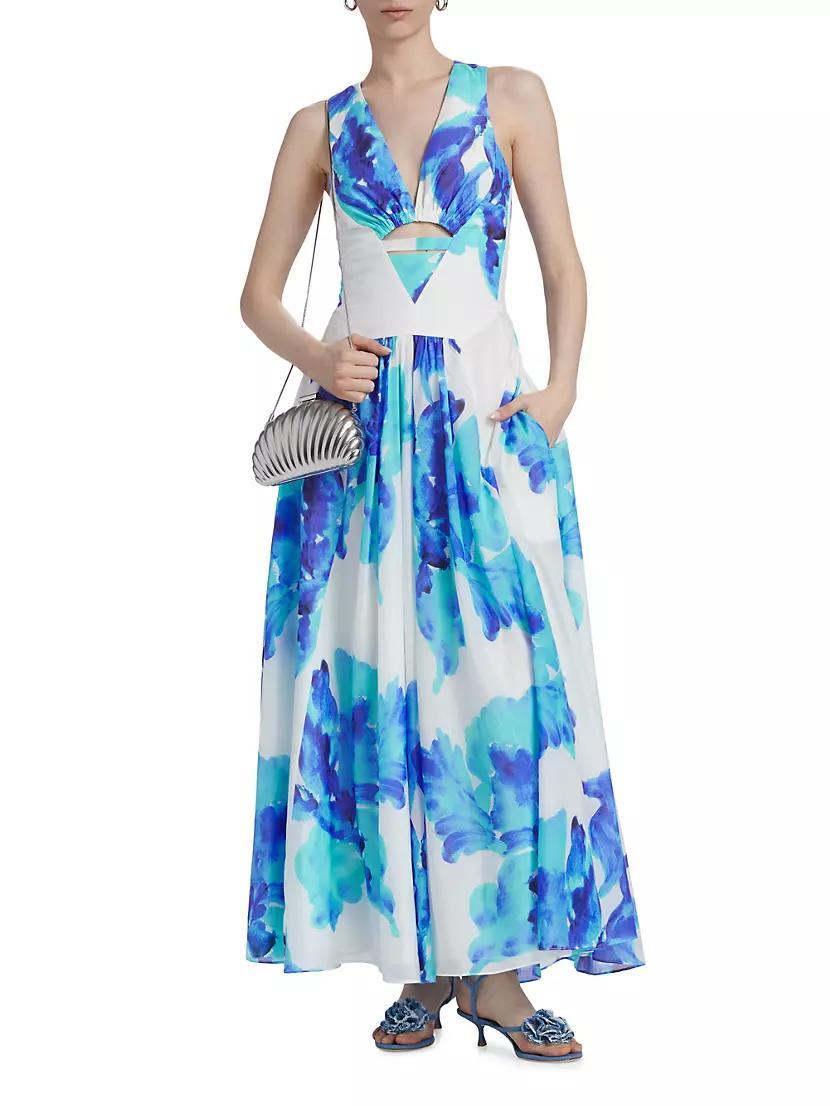 Noemi Floral Cross-Back Maxi Dress Product Image