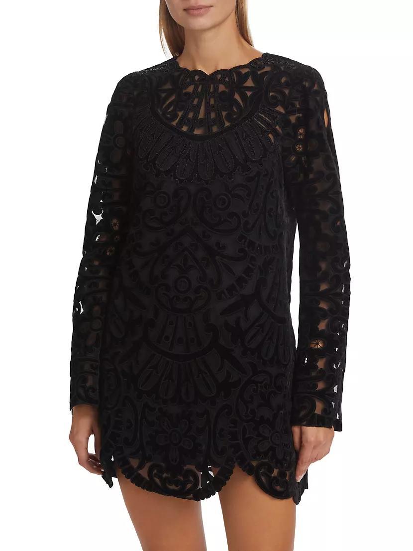 Dana Embroidered Velvet Dress Product Image