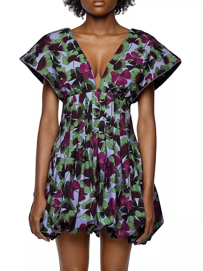 Annato Fortuna Floral Minidress Product Image