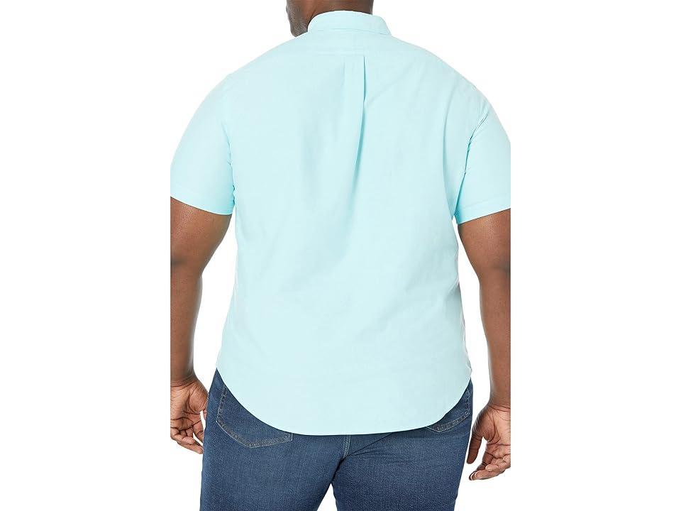 Polo Ralph Lauren Oxford Sport Shirt Blue. (also in ). Product Image