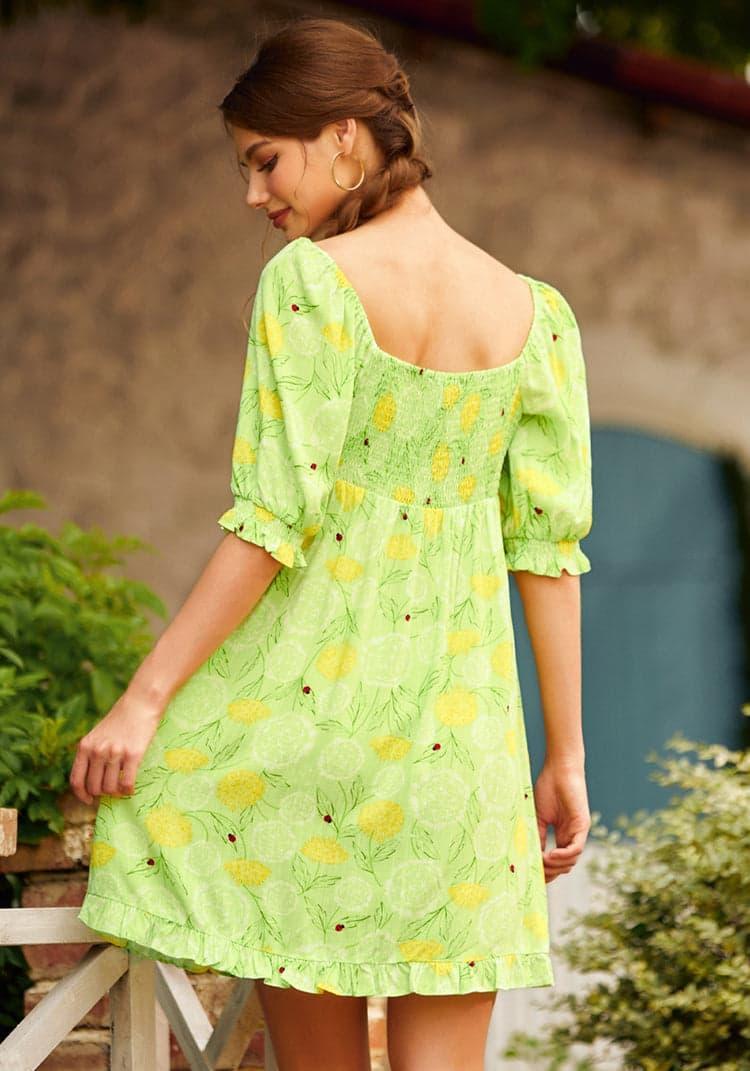 Picnic in Paradise Babydoll Dress Product Image