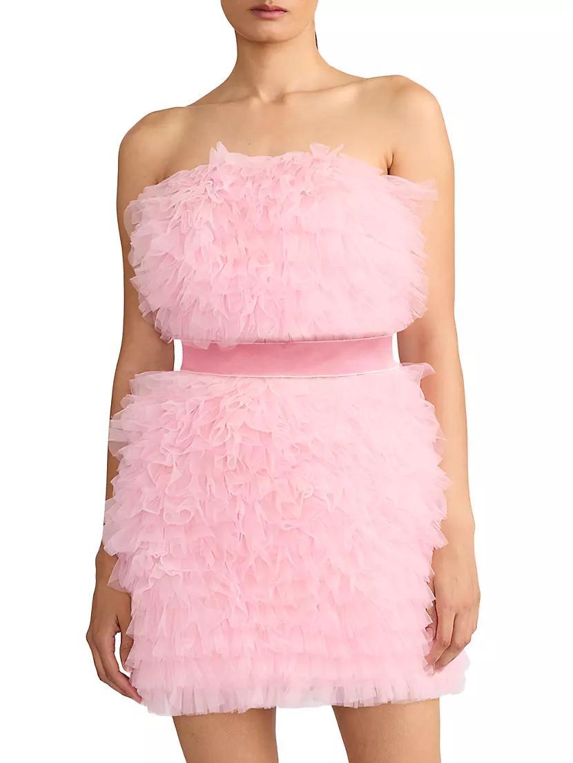 Textured Tulle Strapless Minidress Product Image