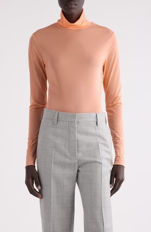 Hoyser Fitted Stretch Turtleneck Top In Blush Product Image