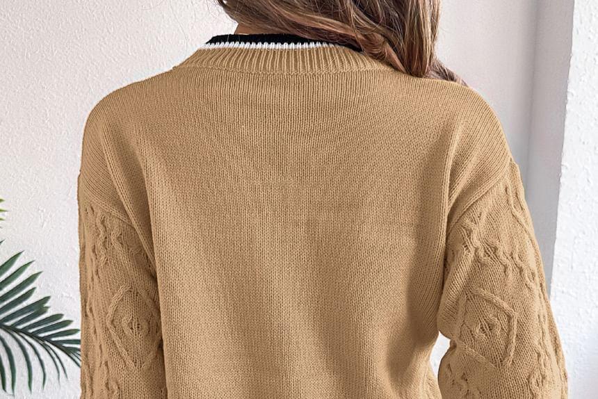 Round Neck Contrast Trim Sweater Product Image