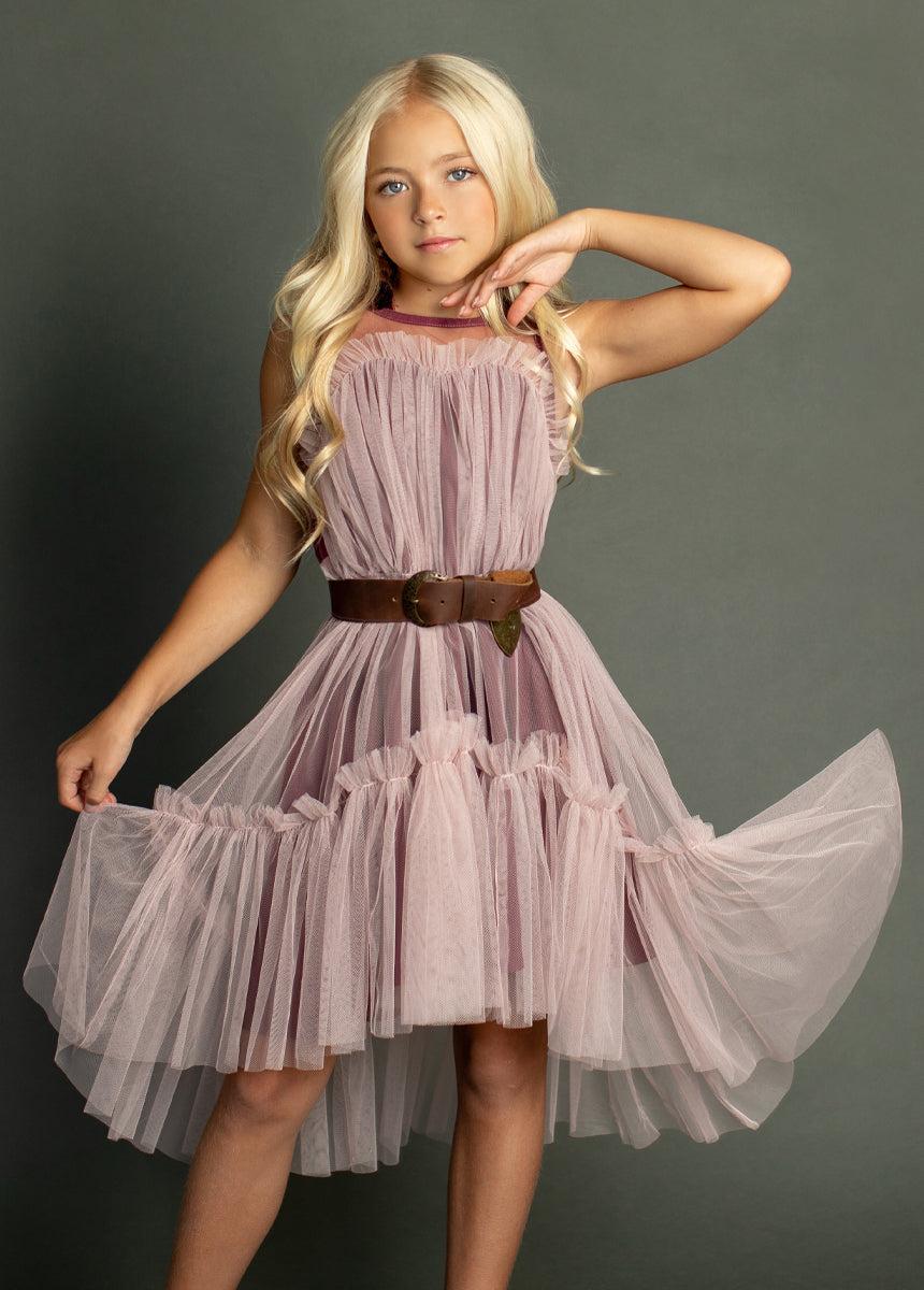 Loie Dress in Blush Product Image