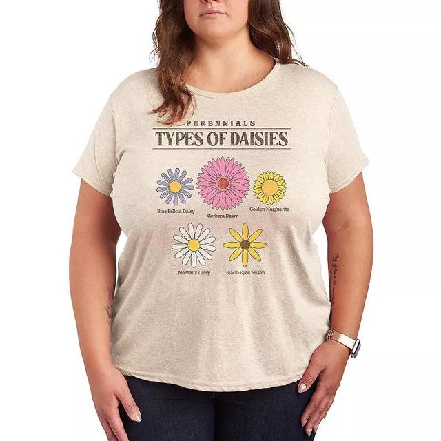 Plus Size Types of Daisies Graphic Tee, Womens Product Image