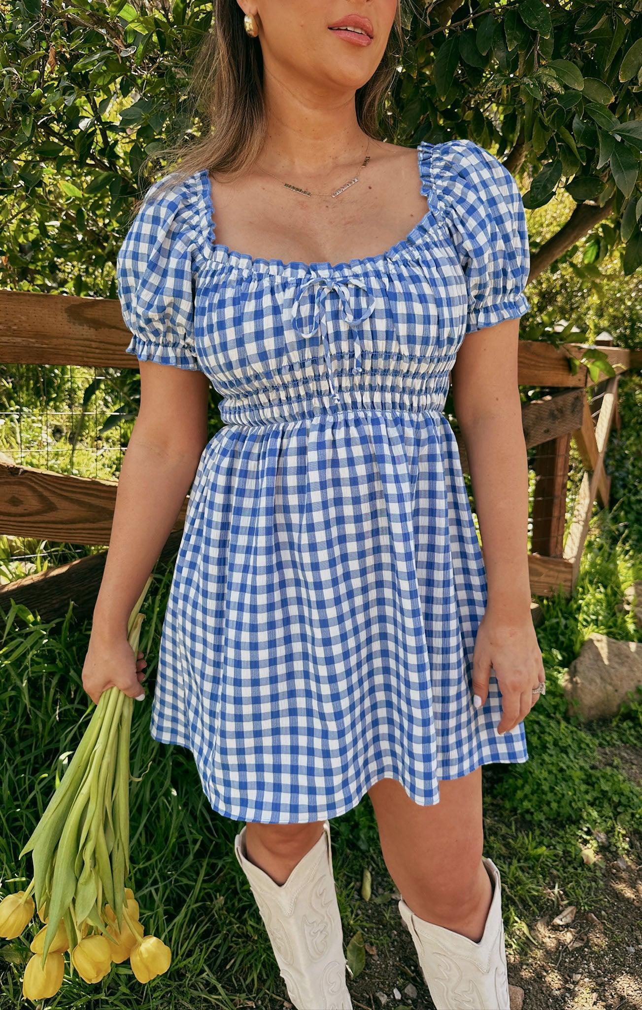 Esme Mini Dress ~ Blue Bounty Gingham Product Image