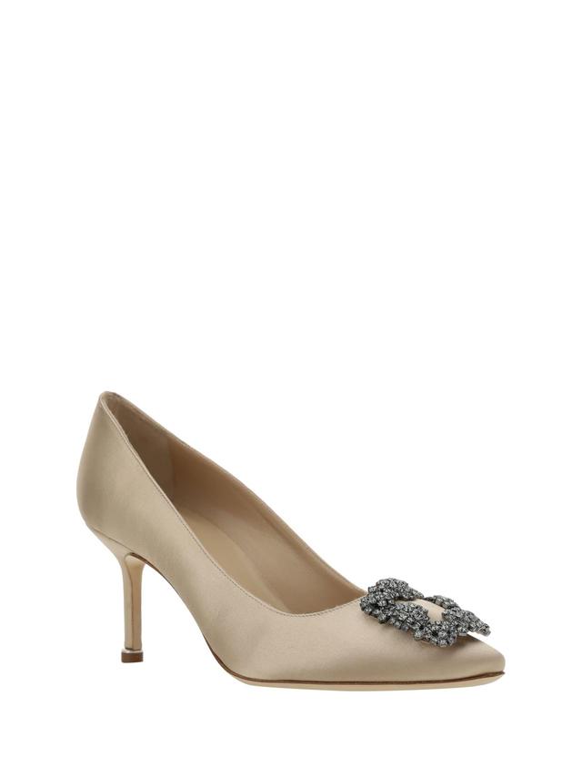 MANOLO BLAHNIK Hangisi Crystal-buckle Pumps In Brown Product Image