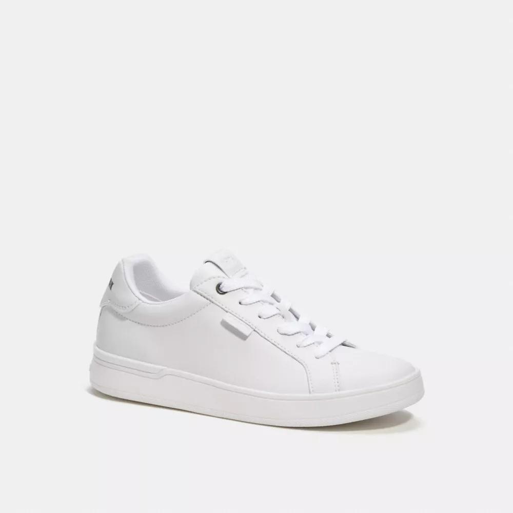 Lowline Low Top Sneaker Product Image