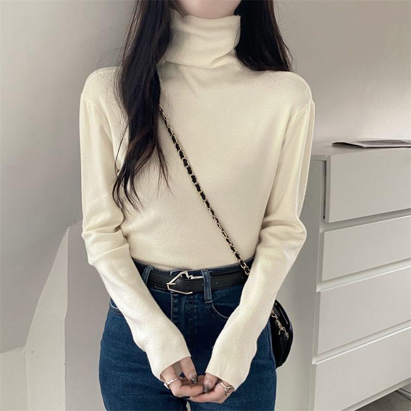 Long-Sleeve Turtleneck Plain Knit Top Product Image