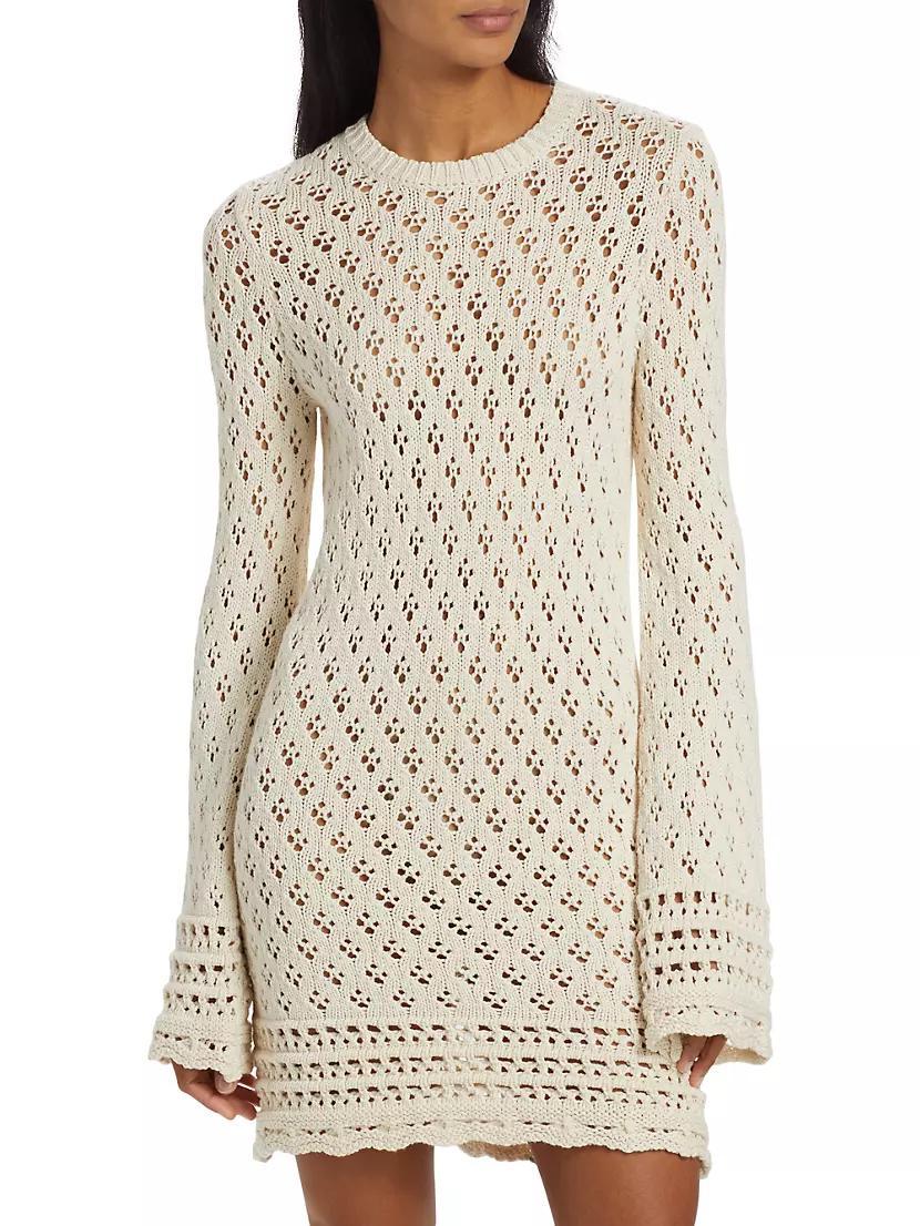 Crochet Long-Sleeve Minidress Product Image