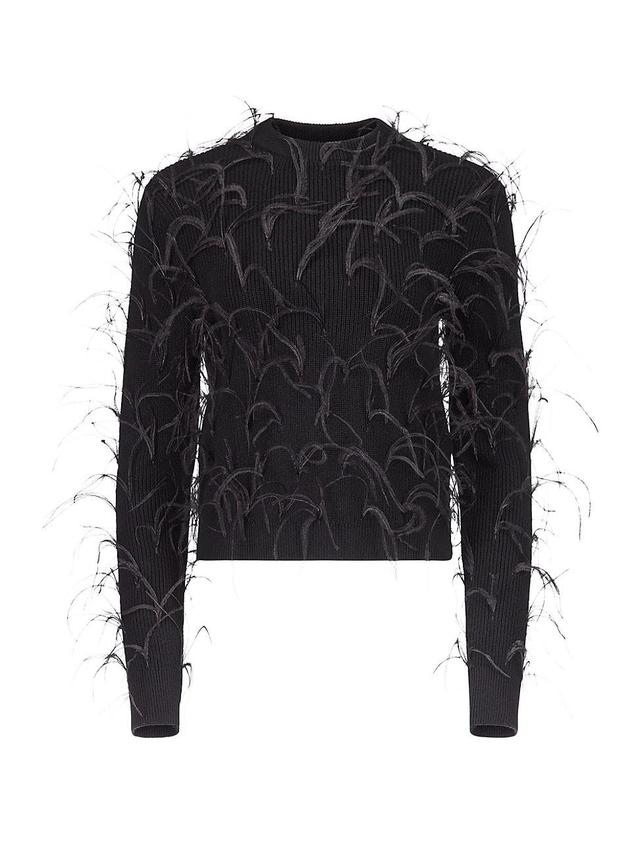 Womens Feather-Embellished Wool-Blend Sweater Product Image