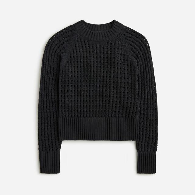 Pointelle crewneck sweater Product Image