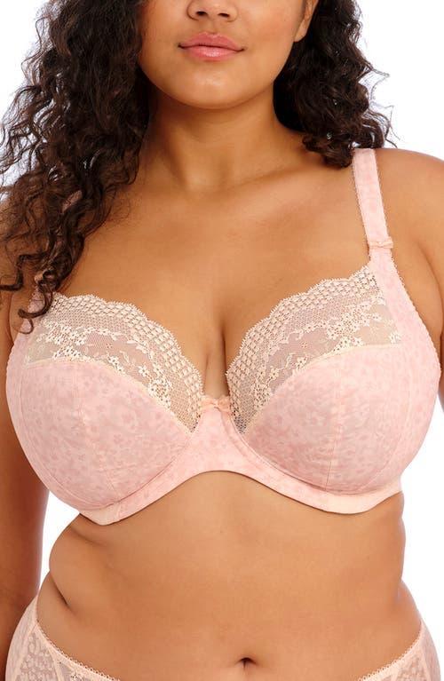 Elomi Lucie Full Figure Underwire Plunge Bra Product Image