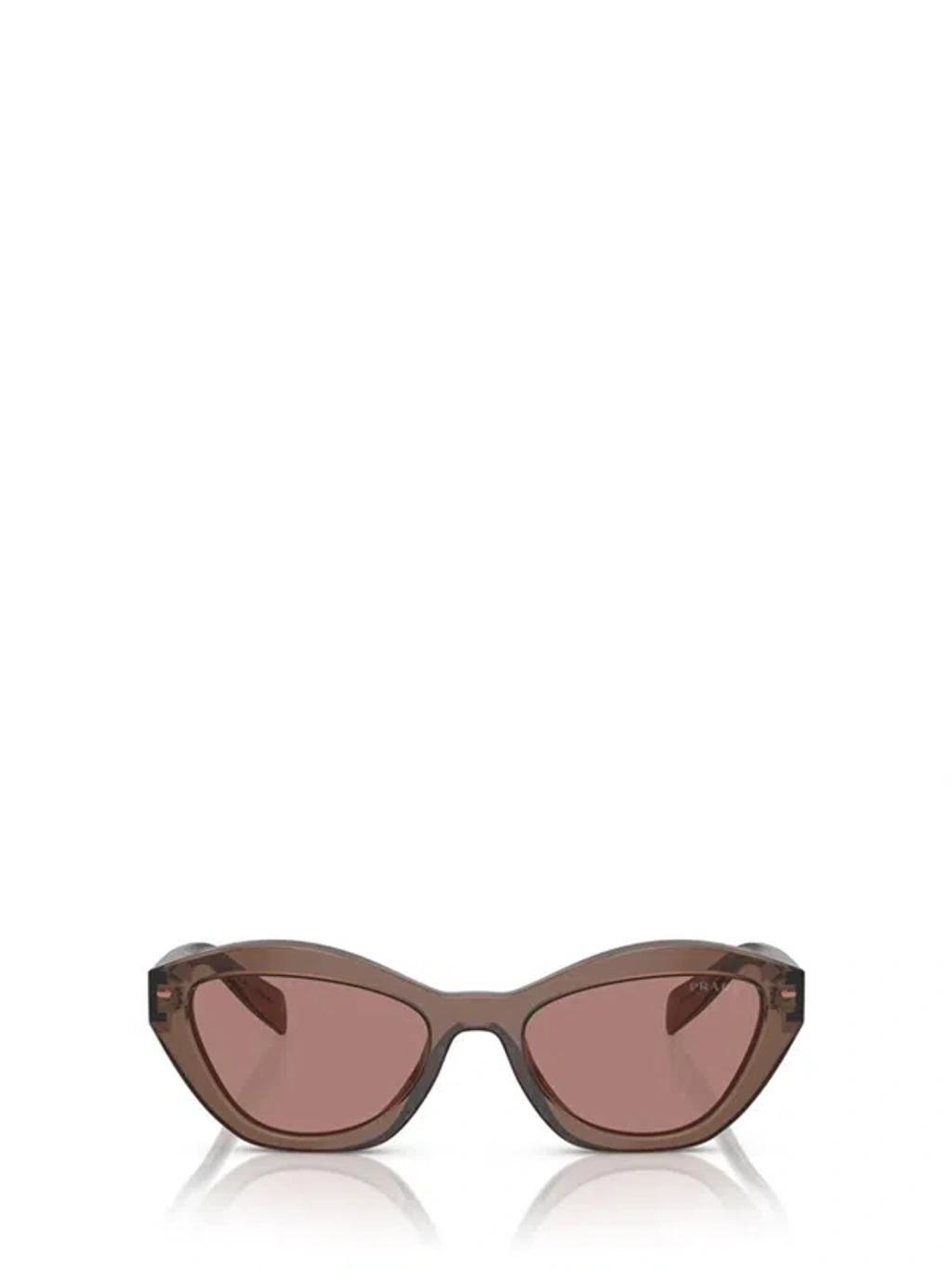 Sunglasses In Brown Product Image