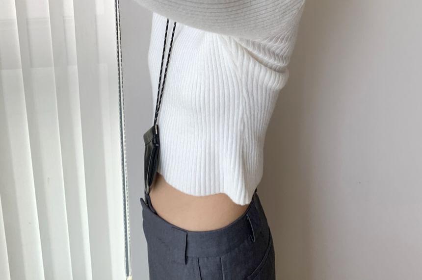 Plain Ribbed Knit Slim Fit Crop Hoodie Product Image