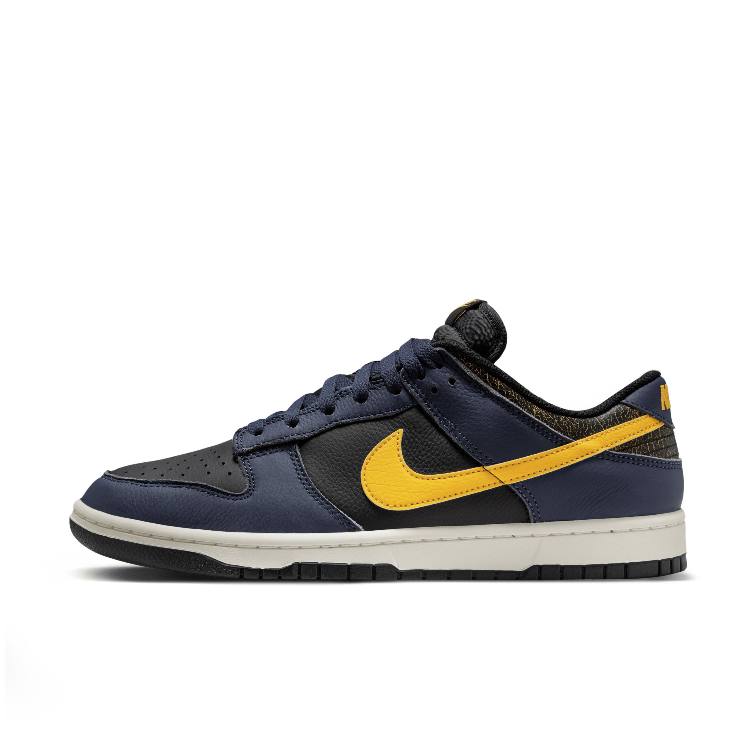 Nike Men's Dunk Low Retro Shoes Product Image