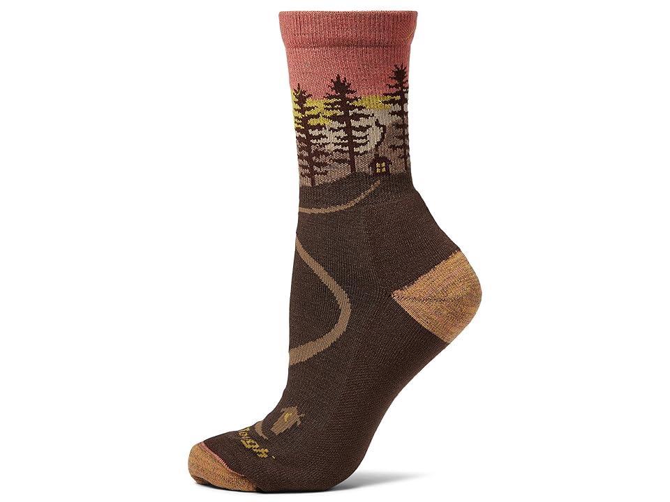 Darn Tough Vermont Northwoods Micro Crew Midweight with Cushion (Earth) Women's Crew Cut Socks Shoes Product Image