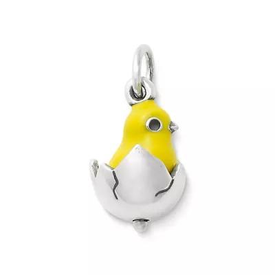 Enamel Chicks Rule Charm Product Image