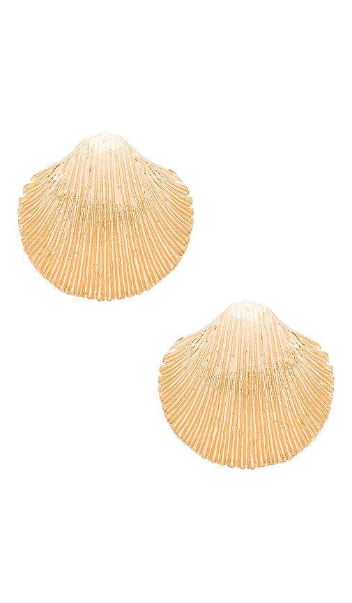 Sea Earrings Product Image