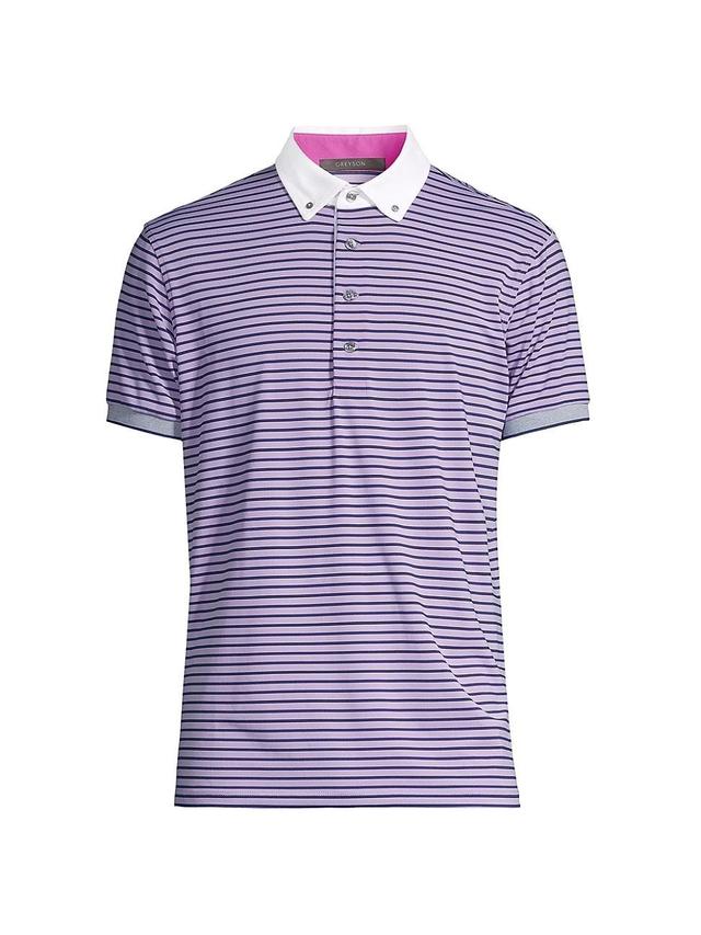 Mens Dakota Striped Polo Product Image