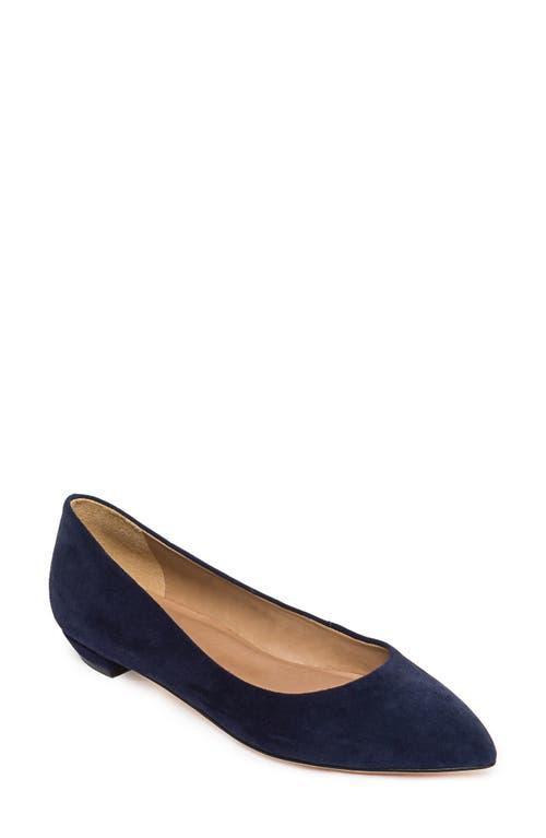 BERNARDO FOOTWEAR Fritz Pointed Toe Flat Product Image