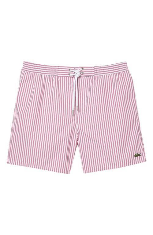 Lacoste Stripe Swim Trunks Product Image