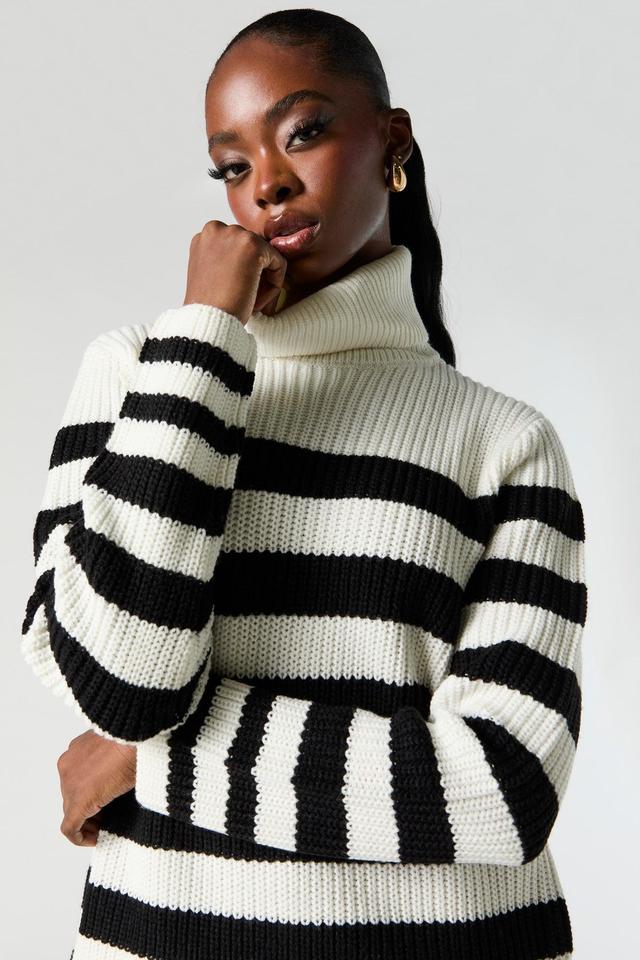 Striped Ribbed Knit Turtleneck Tunic Sweater Female Product Image