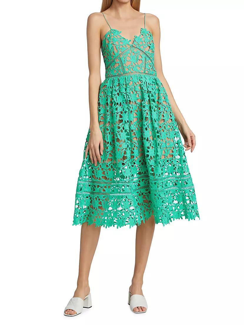 Embroidered Fit & Flare Midi-Dress Product Image