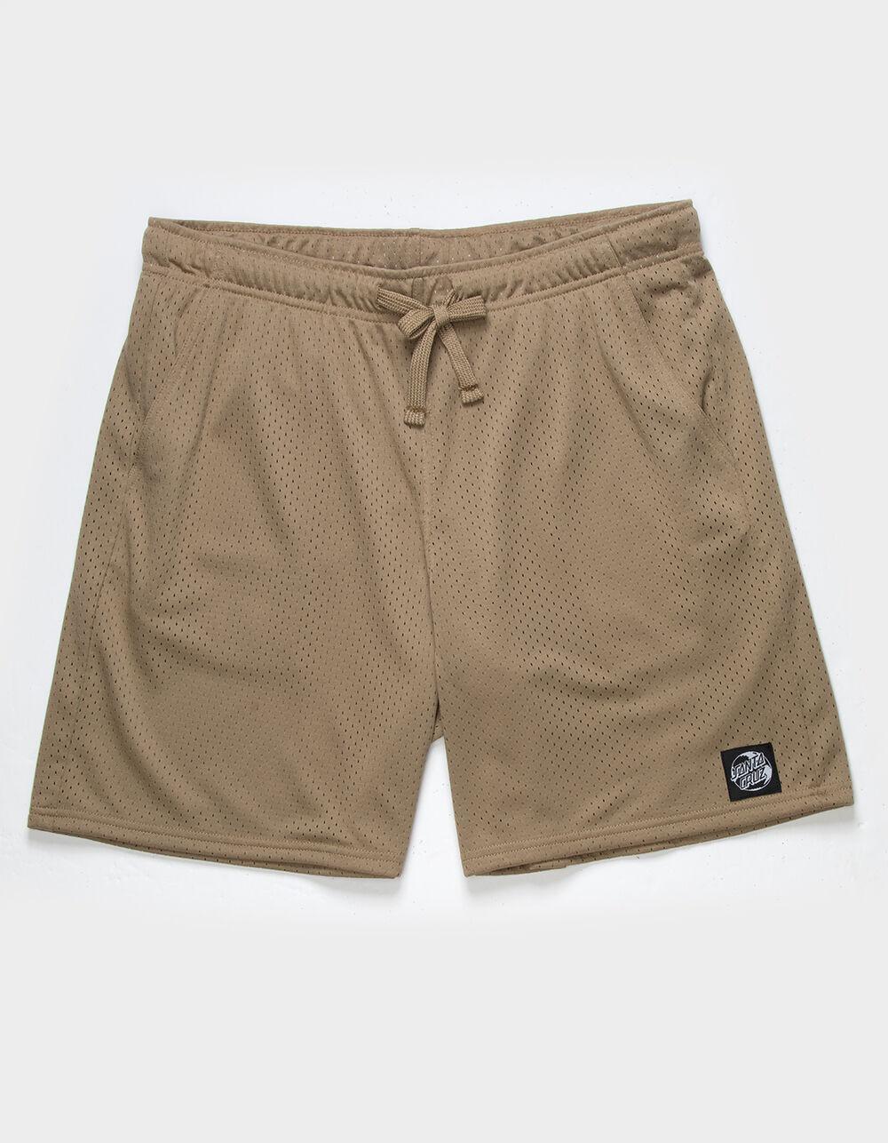 SANTA CRUZ Planet Dot Mens Mesh Shorts Product Image