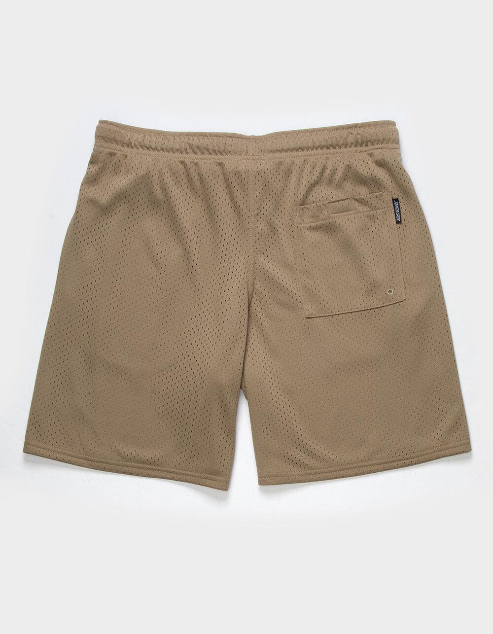 SANTA CRUZ Planet Dot Mens Mesh Shorts Product Image