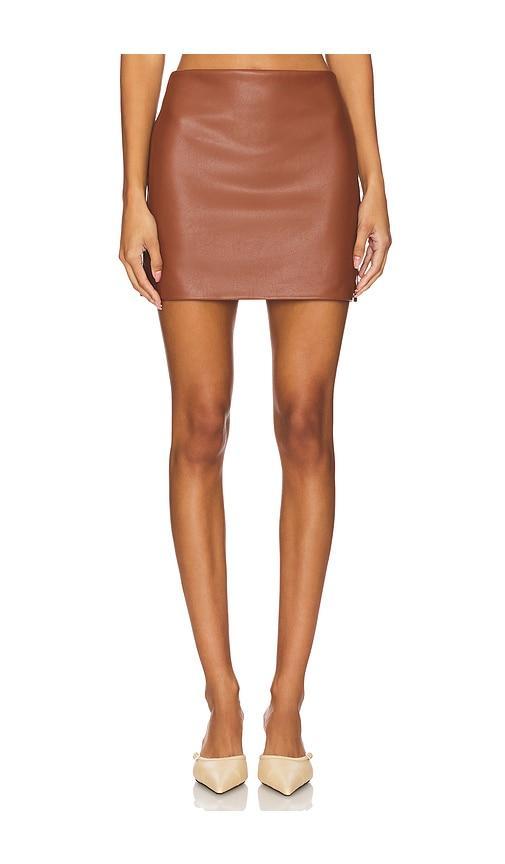 Mini Leather Skirt Product Image