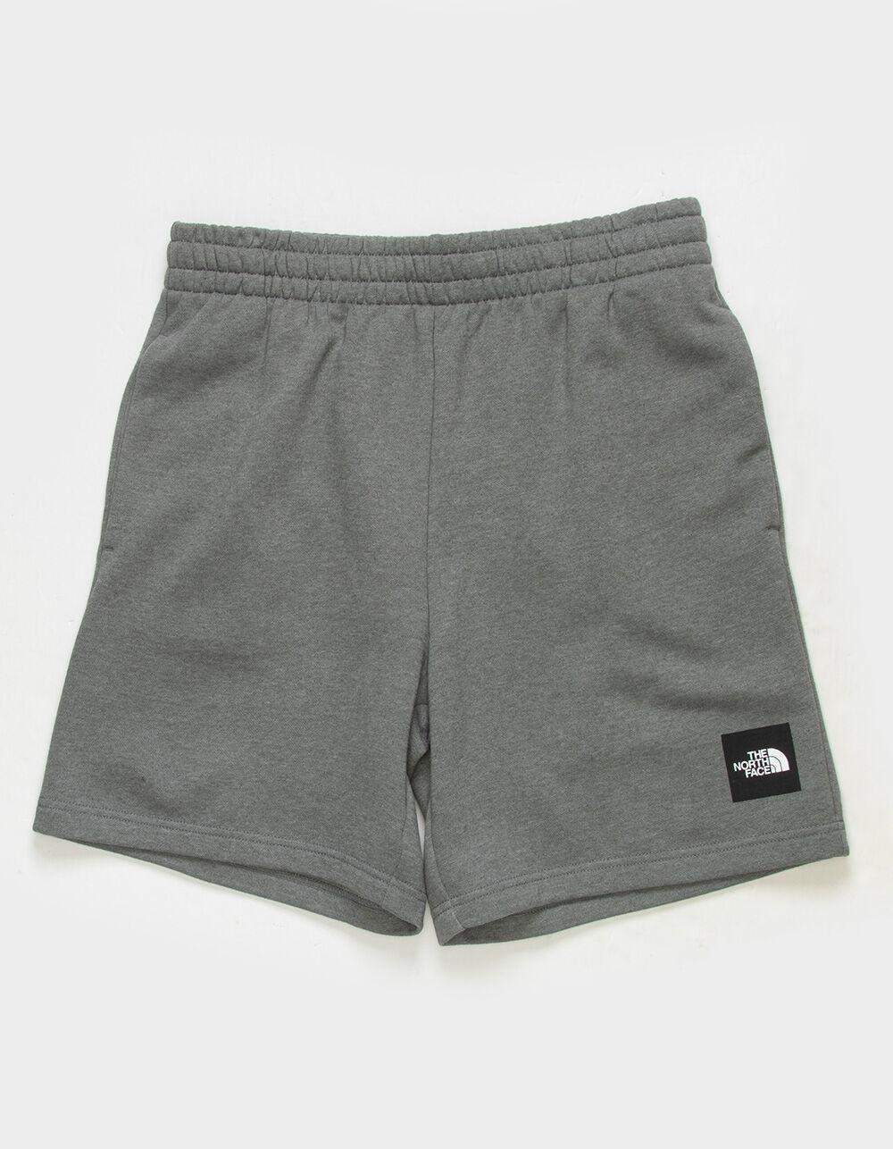 THE NORTH FACE Box NSE Mens Shorts Product Image