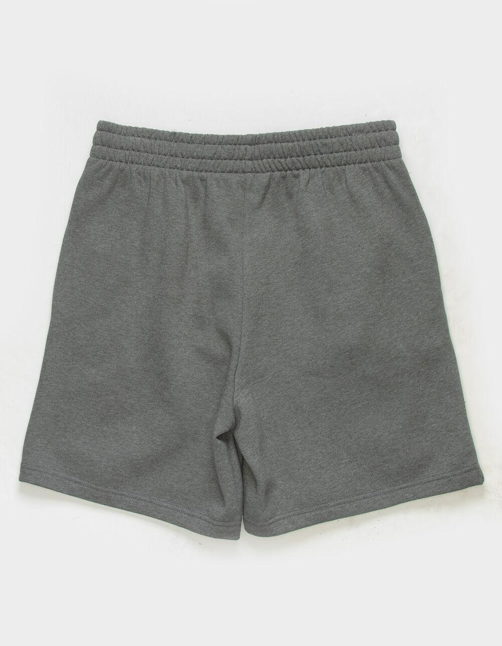 THE NORTH FACE Box NSE Mens Shorts Product Image