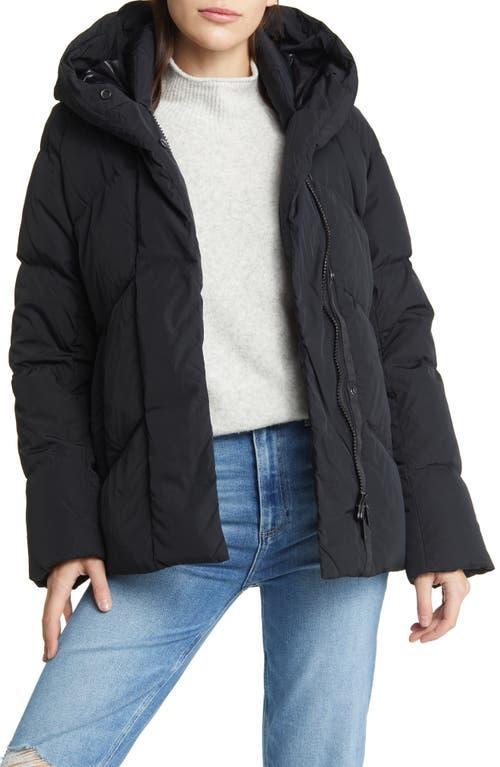 Womens Marlow Jacket Product Image