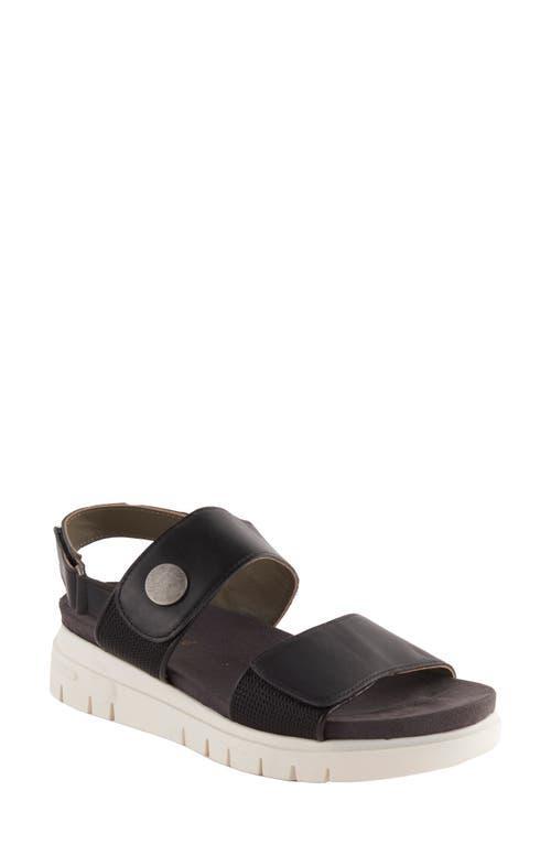 David Tate Downy Slingback Sport Sandal Product Image