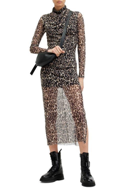 ALLSAINTS Tia Leopard Print Semisheer Long Sleeve Dress In Anita Soft Pink Product Image