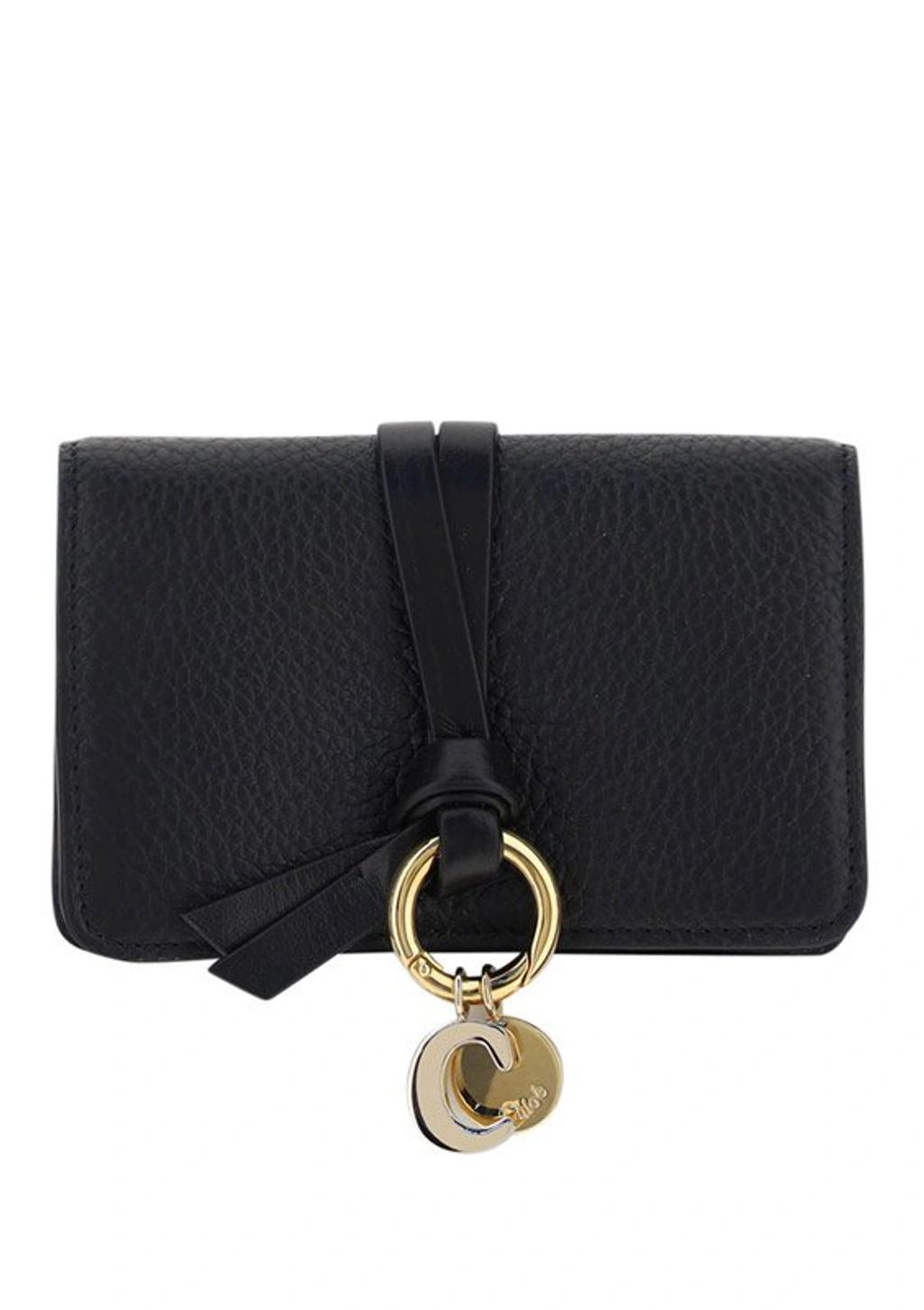 CHLOÉ Logo In Black Product Image