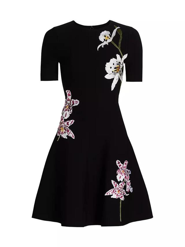 Floral-Embroidered Minidress Product Image