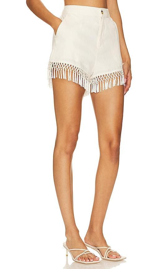 CAMI NYC Semaj Short Size 00, 10, 2. Product Image