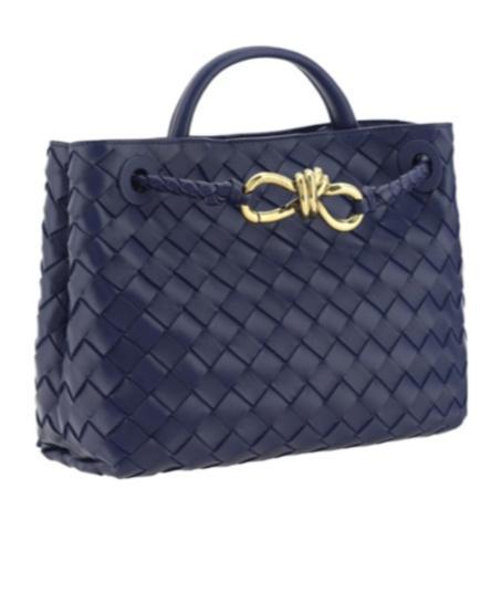 BOTTEGA VENETA Small Andiamo Shoulder Bag In Duke Product Image