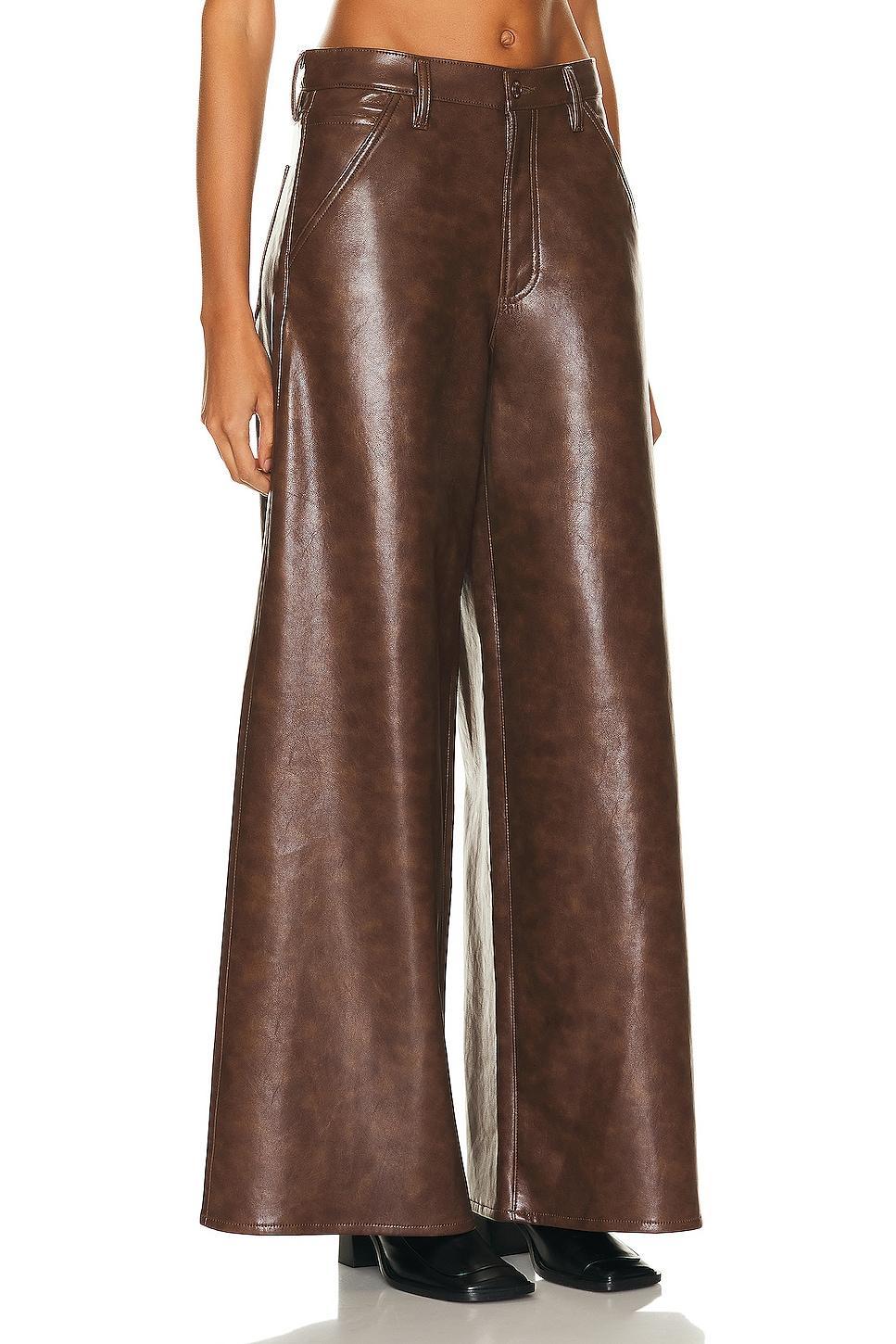 AGOLDE Dale Wide Leg Carpenter Trouser in Brown Product Image